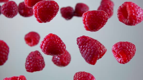 Raspberry Fly on a White Background