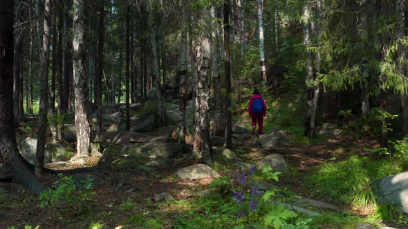 A Girl Walks in the Woods