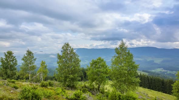 Summer Mountain-Forest Landscape and Clouds