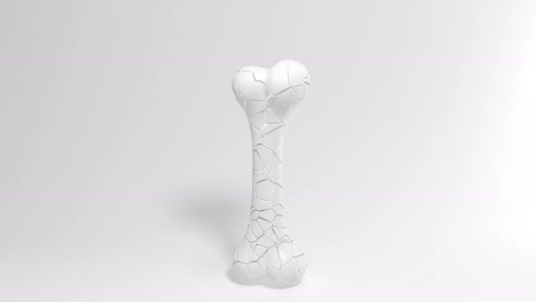 Recovery of the bone isolated on white background alt