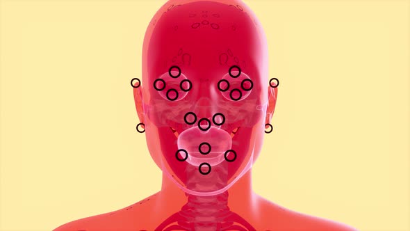 4K anatomy concept of facial recognition