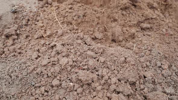 Plowing and Loosening the Soil with a Shovel Closeup in Slow Motion