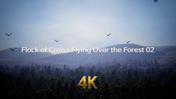 Flock of Crows Flying Over the Forest 4K 02