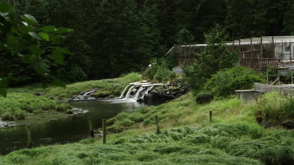 Static view of water pouring out of tubes into creek