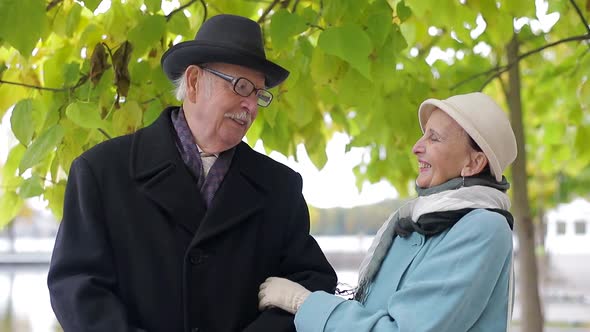 Concept of old age, retirement and people - happy senior couple walking in autumn city park