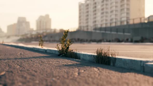 Parking Near the Sand Beach