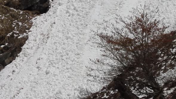 Himalayan Snow Avalanche The Dangerous Face of Nature