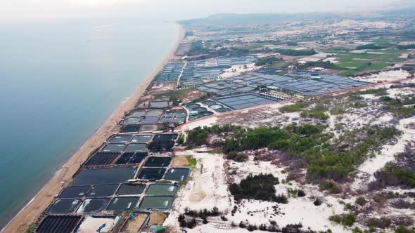 Seaside Shrimp Breeding With Calm Seascape In Phan Ri, Vietnam. - aerial