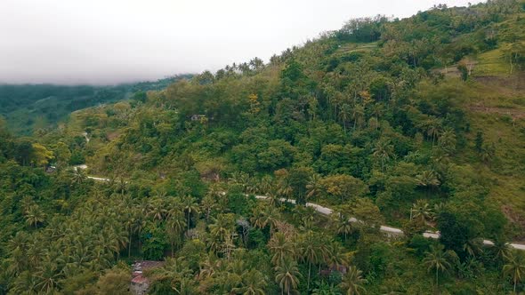 Drone flying towards a forest on a hillside and then tilting down towards a small road going through