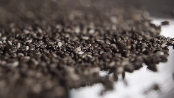 Salvia Hispanica seeds fall and rotate on a plate. Raw chia grains