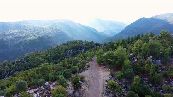 Aerial Panoramic View of Road in Mountains Among Evergreen Trees