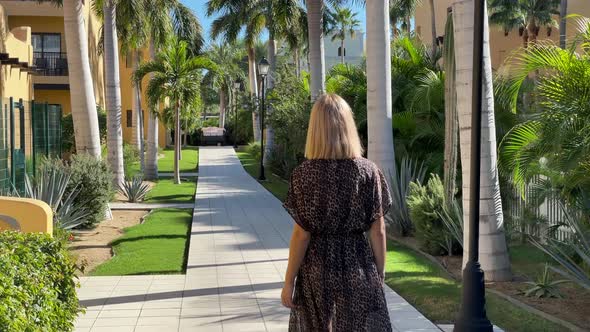 Walking Through the Beautiful Palm Alley