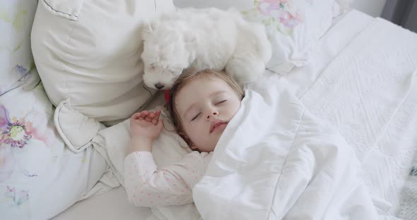 Adorable Oneyearold Girl Sleeping Peacefully with a Sweet Bichon Frise