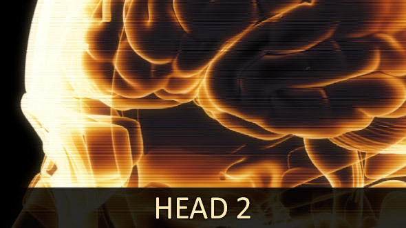 Head 2 (2-Pack) alt