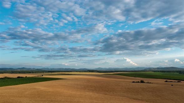 Aerial Hyperlapse Over Yellowed Wheat Fields