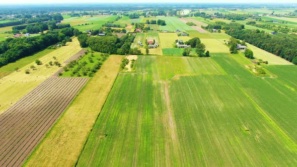 Village Field and forest in wild on sunrise. Country house in rural. Green fields and farmland. Vill