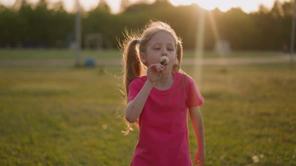 Little Girl in Pink Tshirt Blows Dandelion on Meadow