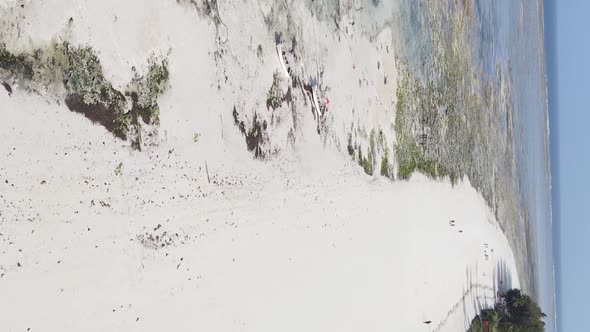 Vertical Video of Low Tide in the Ocean Near the Coast of Zanzibar Tanzania Aerial View