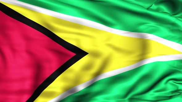 Guyana Flag