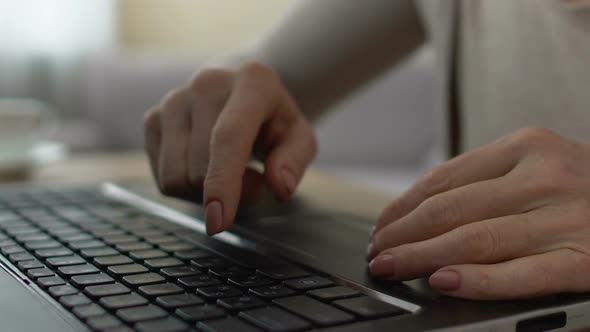 Female Hands Typing Slowly on Keyboard, Unconfident Computer User Studying