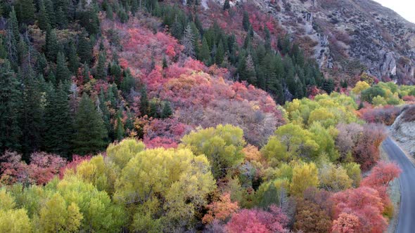 Flying from Canyon Bottom up Hillside in Covered in Fall Foliage