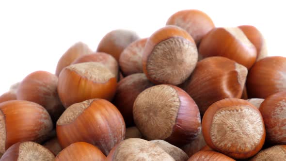 Hazelnut Abstract Background