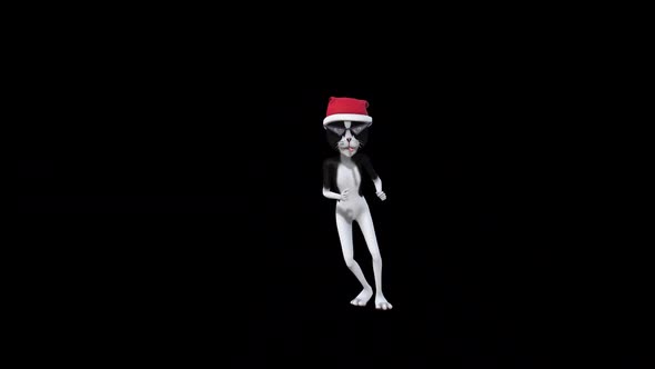 Cat Woman Dance 6 alt