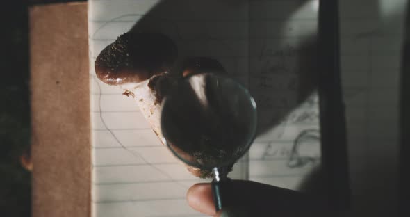 Wild mushroom on the notebook and a hand lens moving