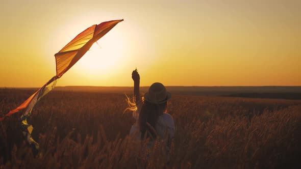 Pretty Girl Playing with Kite in Wheat Field on Summer Day. Childhood, Lifestyle Concept.