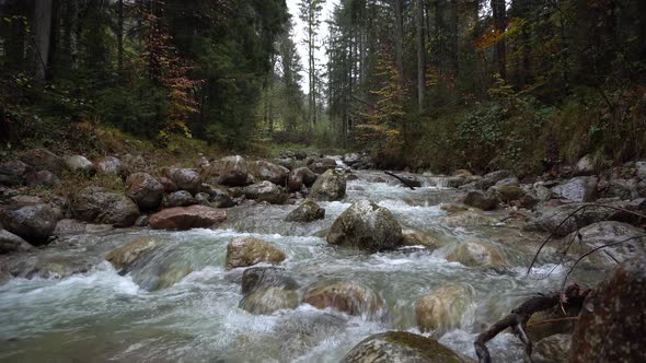 mountain creek in austrian alps and clear water on rainy day in forest