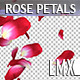 Rose Petals Rain Pack - VideoHive Item for Sale