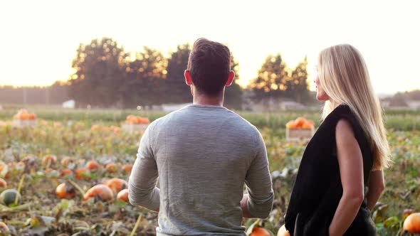 Couple standing in a pumpkin field