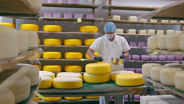 Cheese Production. The Worker Covers the Cheese with Wax. Cheese Factory