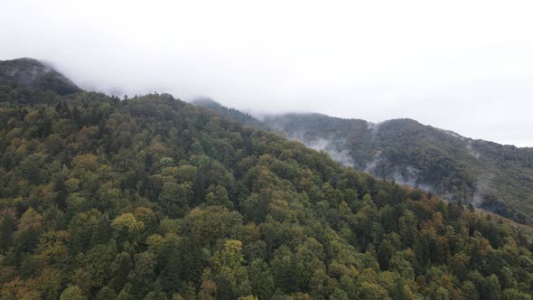 Mountains in Fog Slow Motion. Aerial View of the Carpathian Mountains in Autumn. Ukraine