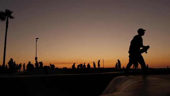 Silhouette of Young Jumping Skateboarder Riding Longboard, Summer Sunset Background. Venice Ocean