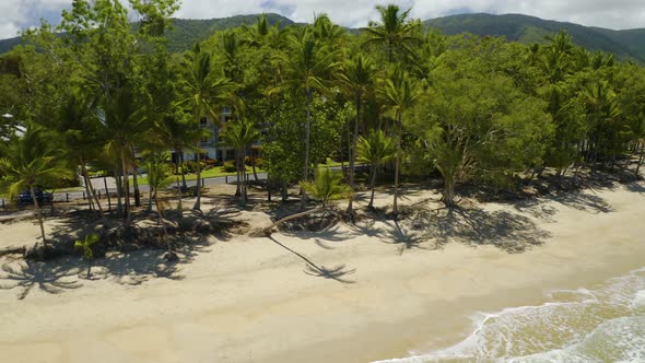 Aerial, A Crooked Palm Tree And A View On Tropical Clifton Beach In Cairns, Queensland, Australia