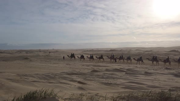 Camels ride  tourists convoy led by the owner at Anna Bay sand dunes desert on a sunny day. Port Ste