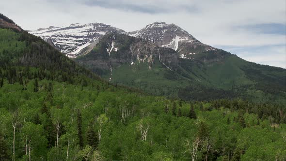 Aerial view flying backwards over green forest away from mountain.