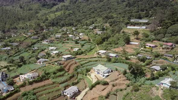 Highland with Green Plantations Small Houses and Serpentine