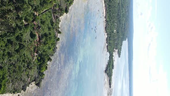 Vertical Video of the Ocean Near the Coast of Zanzibar Tanzania Aerial View