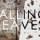 Falling Leaves Pack - VideoHive Item for Sale