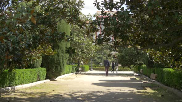 Alley in a park