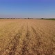 Aerial Shot of a Wheat Field - VideoHive Item for Sale