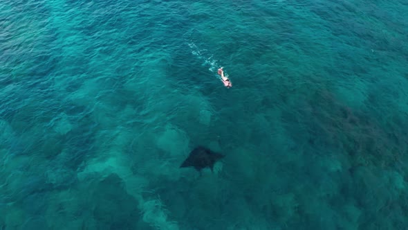 An ocean adventure, diving with a large Manta Ray in the beautiful blue waves of Western Fiji - top