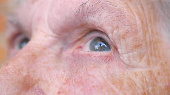 Portrait of Elderly Woman Watching Pensive To Distance. Close Up of Wrinkled Female Face