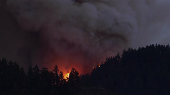 Forest Fire Near Portland Oregon