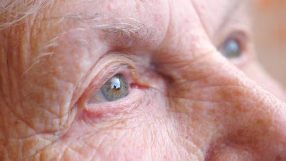 Portrait of Elderly Woman Watching Pensive To Distance. Close Up of Wrinkled Female Face