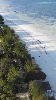 Vertical Video of the Beach on Zanzibar Island Tanzania