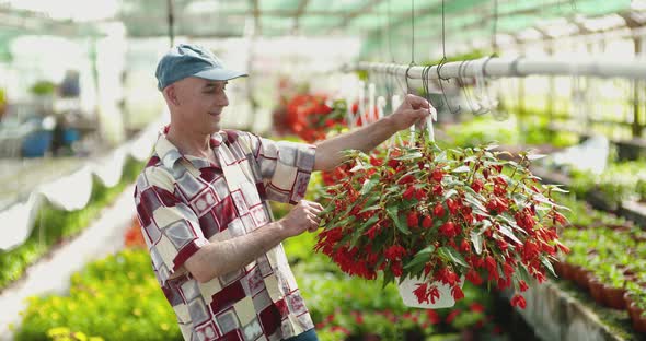 Researcher Examining Potted Plant At Greenhouse