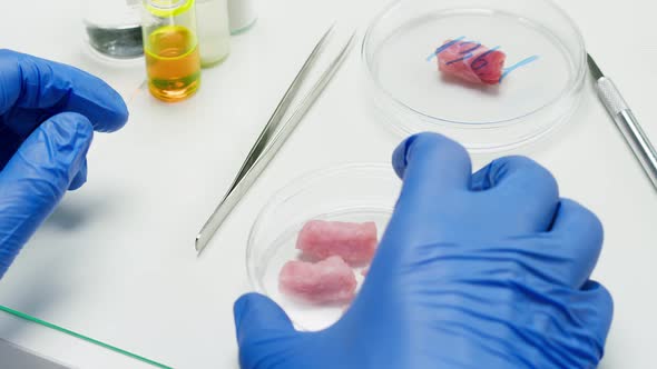 Medical Scientist Specialist Putting Meat in Dish with Tweezers and Scalpel Signing in Food